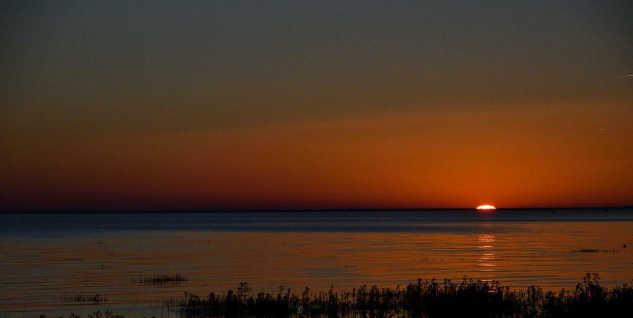 Du Timbre * Clion (Charente-Maritime)